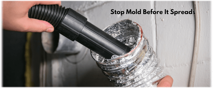 Air Duct Mold Removal in Naperville