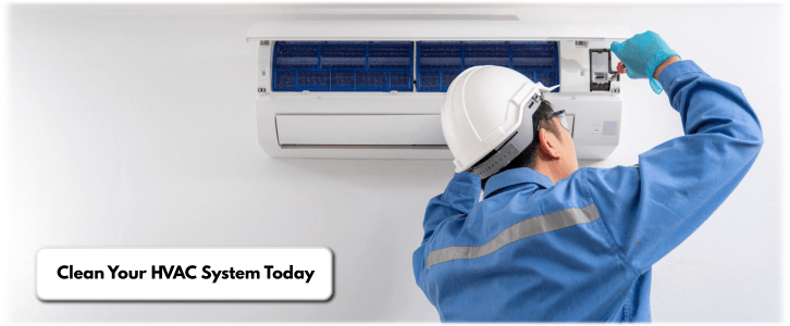 HVAC Mold Removal Naperville